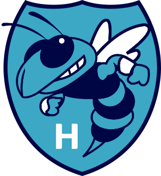 Logo Thème Hornets
